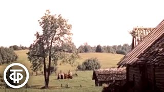 Миниатюра