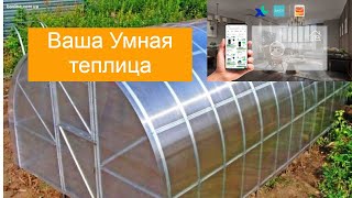 Миниатюра