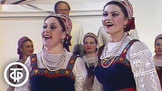 Миниатюра