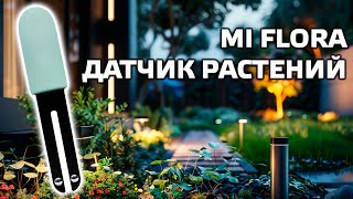 Миниатюра