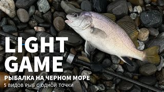 Миниатюра