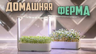 Миниатюра