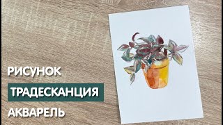 Миниатюра