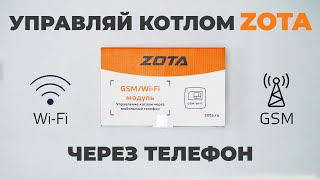 Миниатюра