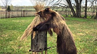 Миниатюра
