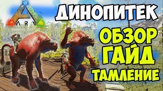 Миниатюра