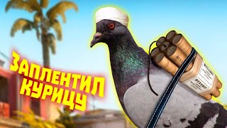 Миниатюра
