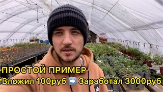Миниатюра