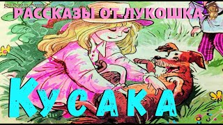 Миниатюра