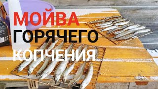 Миниатюра