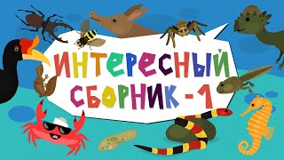 Миниатюра
