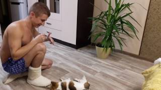 Миниатюра