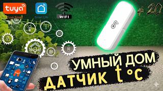 Миниатюра