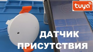 Миниатюра
