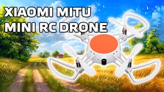 Миниатюра