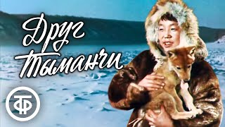 Миниатюра