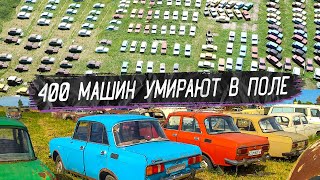 Миниатюра