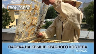 Миниатюра