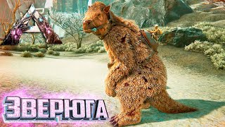 Миниатюра