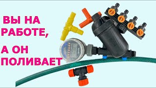 Миниатюра