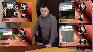 Миниатюра