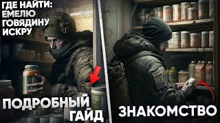 Миниатюра