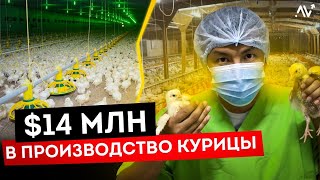 Миниатюра