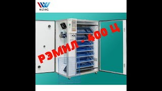 Миниатюра