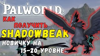 Миниатюра