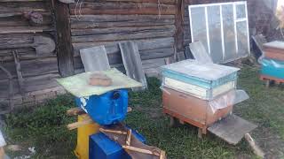 Миниатюра