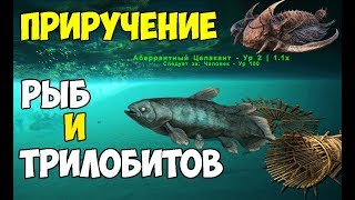 Миниатюра