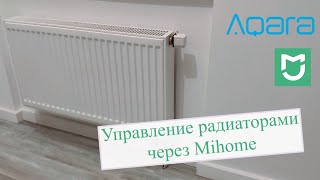 Миниатюра