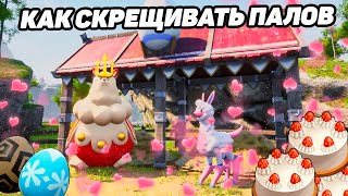Миниатюра