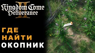 Миниатюра
