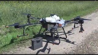 Миниатюра