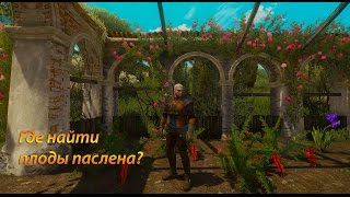 Миниатюра