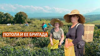 Миниатюра