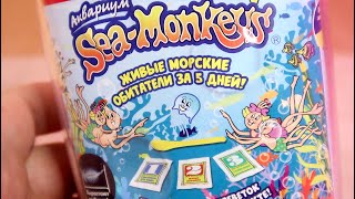 Миниатюра
