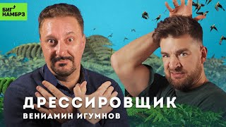 Миниатюра