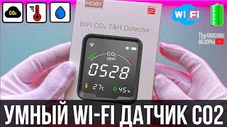 Миниатюра