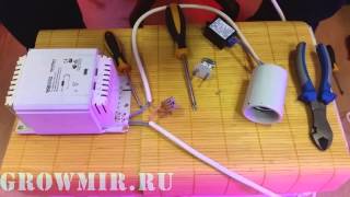 Миниатюра