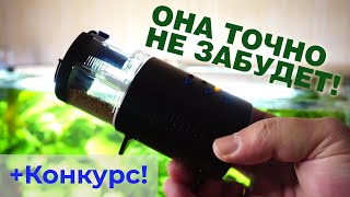Миниатюра