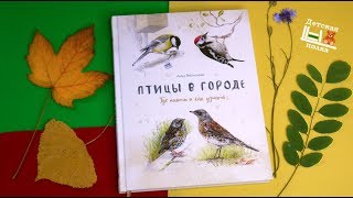 Миниатюра