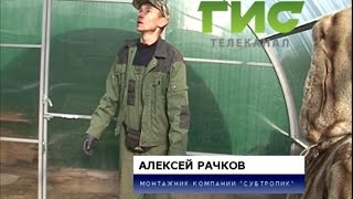 Миниатюра