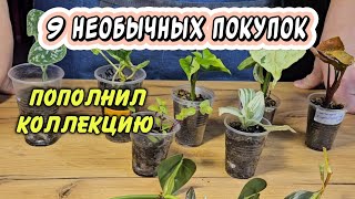 Миниатюра