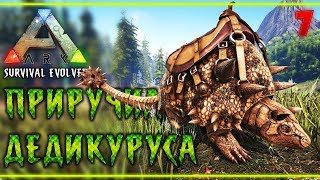 Миниатюра