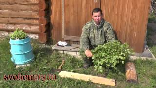 Миниатюра