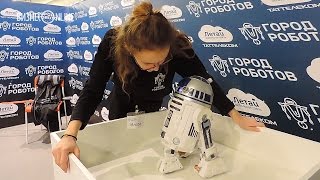 Миниатюра