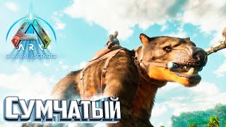 Миниатюра