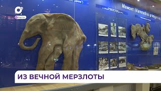 Миниатюра